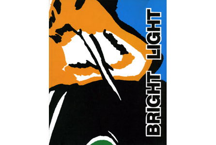 Bright Light, Galerie Brigitte March, 1993